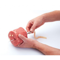 Aiguille a Larder en Inox