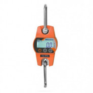 Crochet Peseur 300 kg