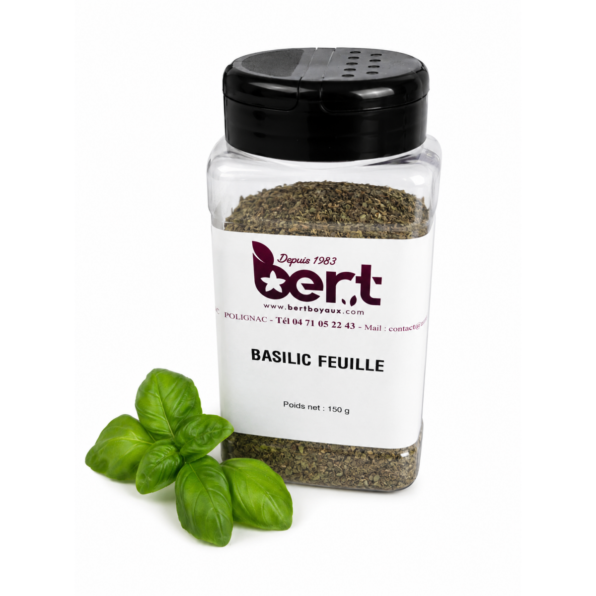 Basilic Feuille