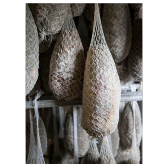 Filet plastique pour jesus